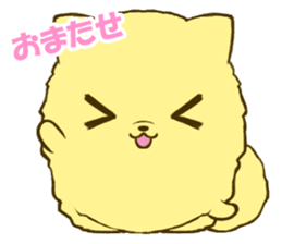 Pomeranian tan 3 sticker #6303864