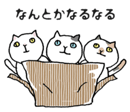 Three cats of good friend sticker #6304539