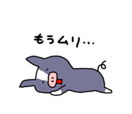 Berkshire pig sticker #6306351