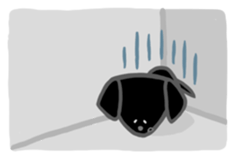 Black Labrador retriever sticker #6306475