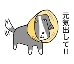 Bob Sometimes Sam sticker #6306583