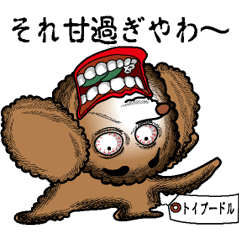 A clever dog Poodle1