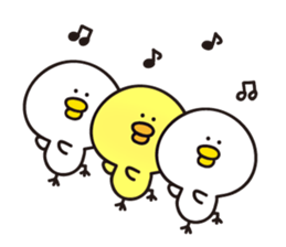 Yellow&white Chicks sticker #6308896