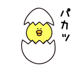 Yellow&white Chicks sticker #6308902