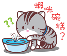 Domo cat sticker #6312298