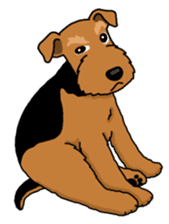 Funny dog, Welsh Terrier sticker #6313643