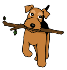 Funny dog, Welsh Terrier sticker #6313652