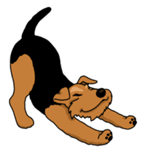 Funny dog, Welsh Terrier sticker #6313654