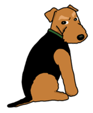 Funny dog, Welsh Terrier sticker #6313665