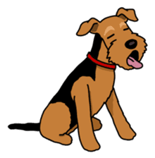Funny dog, Welsh Terrier sticker #6313678