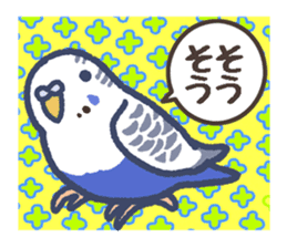 Budgerigars5 sticker #6315088