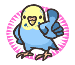 Budgerigars5 sticker #6315099
