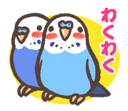 Budgerigars5 sticker #6315100