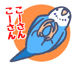 Budgerigars5 sticker #6315101