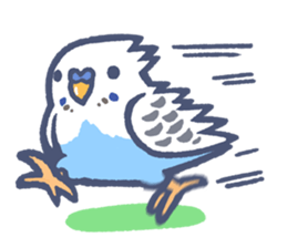 Budgerigars5 sticker #6315114