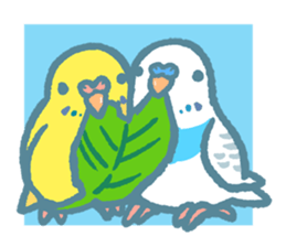 Budgerigars5 sticker #6315115