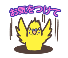 Budgerigars5 sticker #6315117