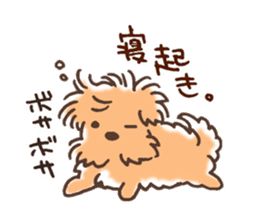 Gesture of dog Sticker sticker #6317447