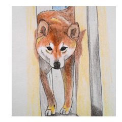 Favorite parts of SHIBAINU4