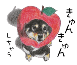 Favorite parts of SHIBAINU4 sticker #6317520