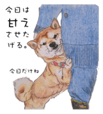 Favorite parts of SHIBAINU4 sticker #6317521