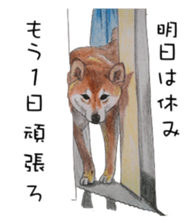 Favorite parts of SHIBAINU4 sticker #6317522