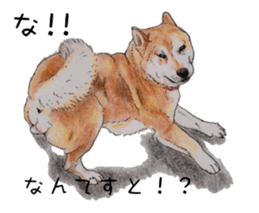 Favorite parts of SHIBAINU4 sticker #6317524