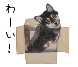 Favorite parts of SHIBAINU4 sticker #6317526