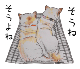 Favorite parts of SHIBAINU4 sticker #6317527