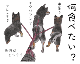 Favorite parts of SHIBAINU4 sticker #6317529