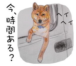 Favorite parts of SHIBAINU4 sticker #6317530