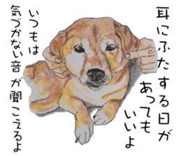 Favorite parts of SHIBAINU4 sticker #6317533