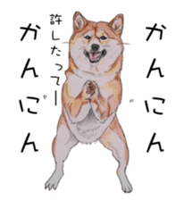 Favorite parts of SHIBAINU4 sticker #6317535
