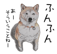Favorite parts of SHIBAINU4 sticker #6317536