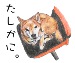 Favorite parts of SHIBAINU4 sticker #6317538