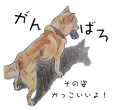 Favorite parts of SHIBAINU4 sticker #6317540