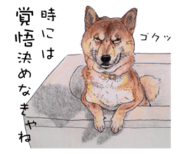 Favorite parts of SHIBAINU4 sticker #6317543