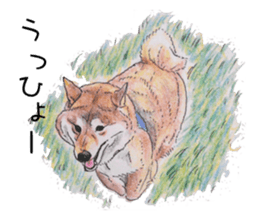 Favorite parts of SHIBAINU4 sticker #6317547