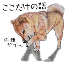 Favorite parts of SHIBAINU4 sticker #6317548