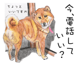 Favorite parts of SHIBAINU4 sticker #6317550