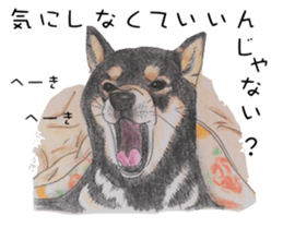 Favorite parts of SHIBAINU4 sticker #6317552