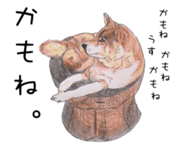 Favorite parts of SHIBAINU4 sticker #6317555