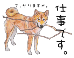 Favorite parts of SHIBAINU4 sticker #6317557