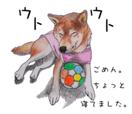 Favorite parts of SHIBAINU4 sticker #6317558