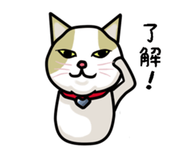 chiroru sticker #6318906