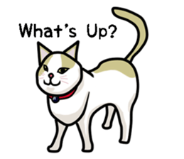 chiroru sticker #6318915