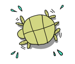 Turtle Life sticker #6321521