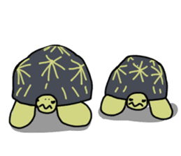 Turtle Life sticker #6321524