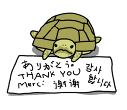 Turtle Life sticker #6321527