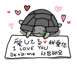 Turtle Life sticker #6321529